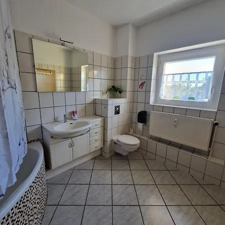 Kelly マクデブルク