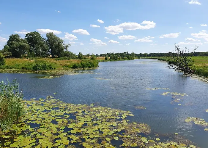 Kelly ゲストハウス マクデブルク